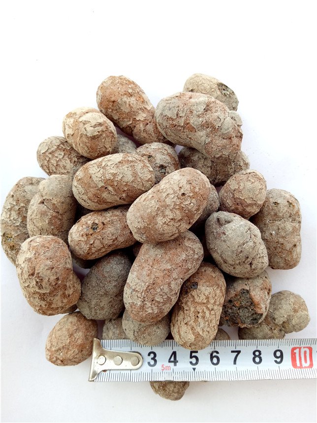 工程建筑粘土陶粒 用于找坡層保溫隔熱 污水過濾 直徑10-20mm - 愛企