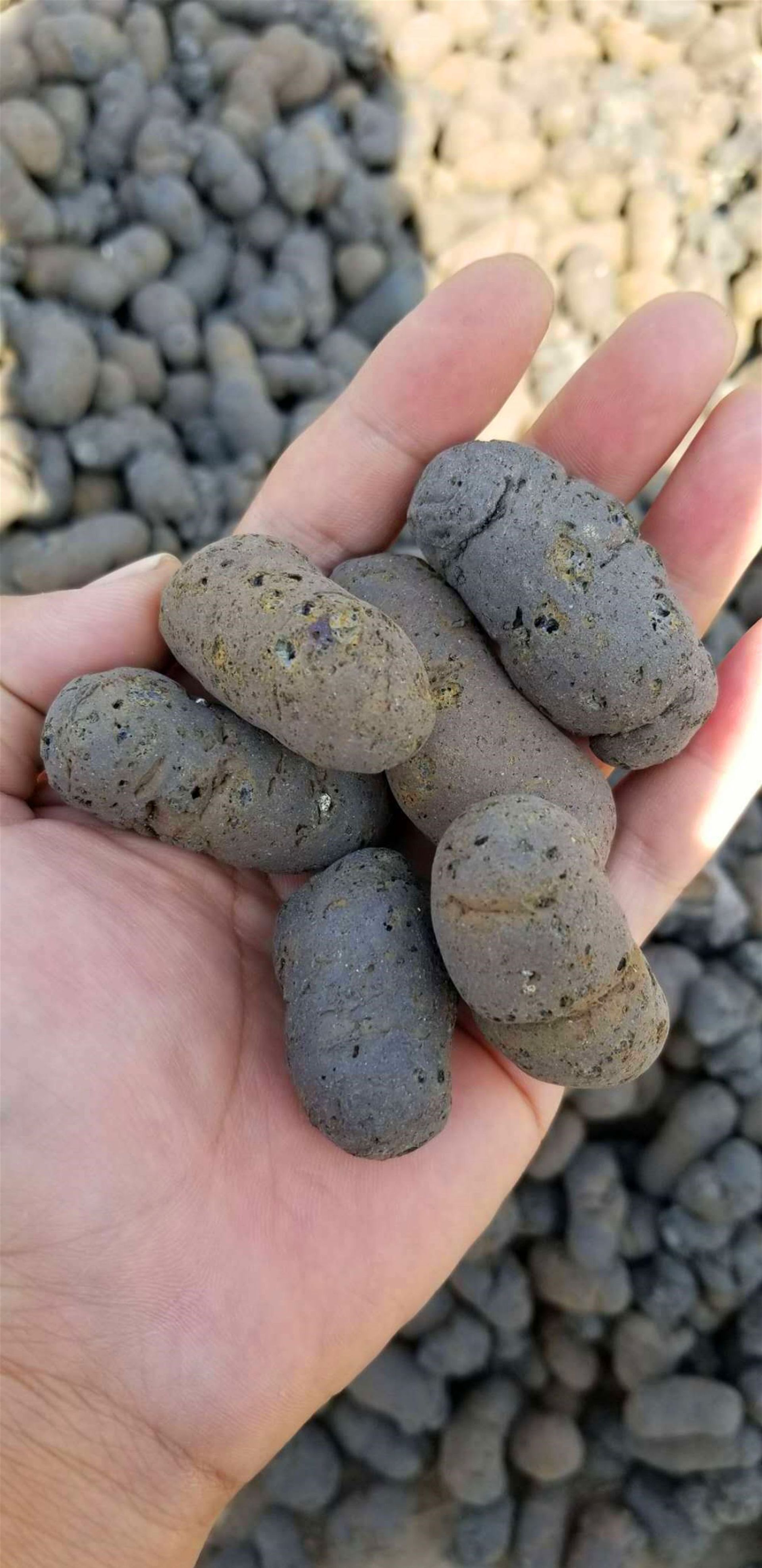 杭州生產批發各種規格綠化陶粒 種植花卉陶粒 承接園林景觀工程