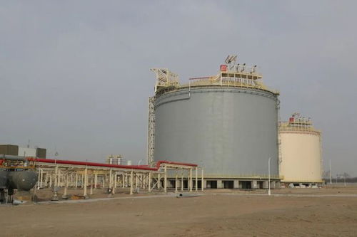 哈密 讓綠色成為高質量發展的亮麗底色